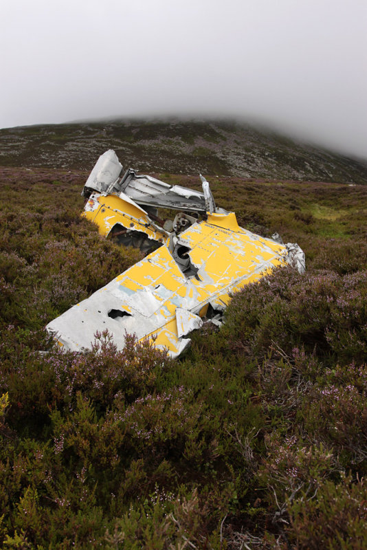 FireflyT1_Z2108_Lochnagar6.jpg