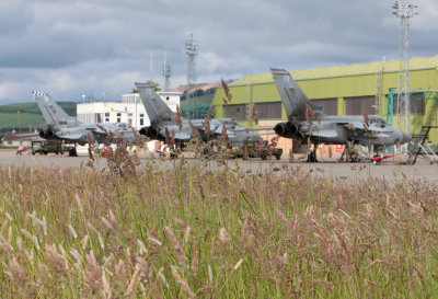 TornadoF3_grass_ADX.jpg