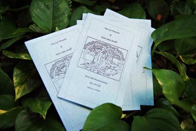 Marie Selby Gardens wedding