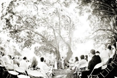 Marie Selby Gardens wedding