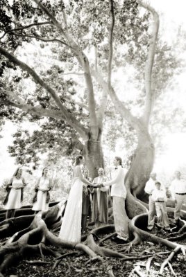 Marie Selby Gardens wedding