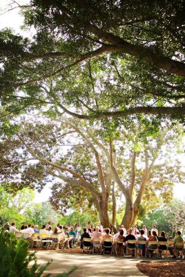 Marie Selby Gardens wedding