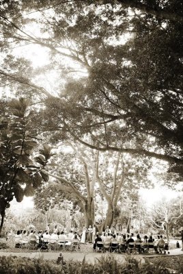 Marie Selby Gardens wedding