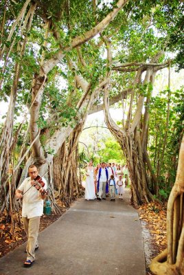 Marie Selby Gardens wedding
