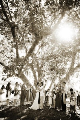 Marie Selby Gardens wedding