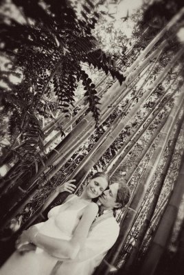 Marie Selby Gardens wedding