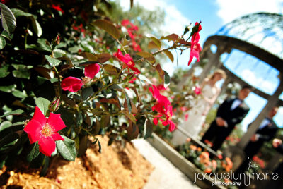 Ringling Museum Ca d Zan wedding photographer