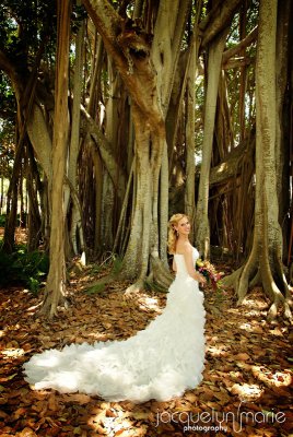 Ringling Museum Ca d Zan wedding photographer