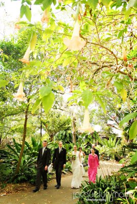 Selby Gardens wedding