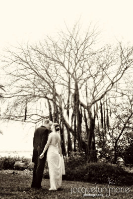 Kim and Penn's Sarasota wedding photography highlights at Marie Selby Botanical Gardens