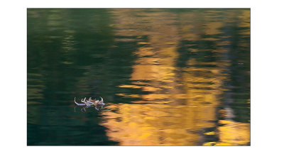 autumn_9_1_1.jpg