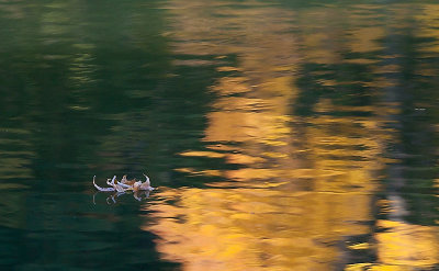autumn_9_1.jpg