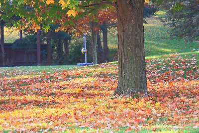 autumn_34_1.jpg