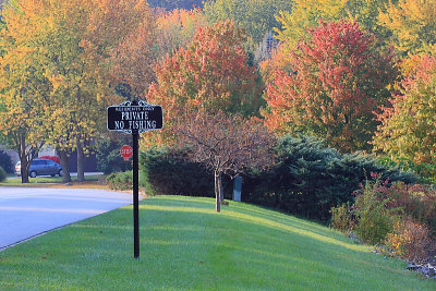 autumn_31_1.jpg