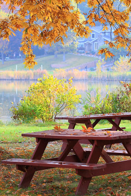 autumn_39_1.jpg