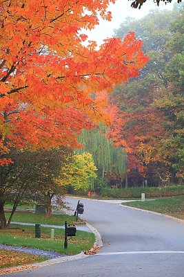 autumn_38_1.jpg