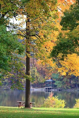 autumn_43_1.jpg