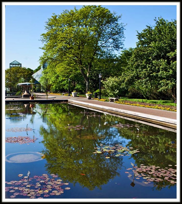 Reflections at the BBG
