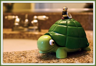 Soap Dish Turtle Invades Bathroom Space