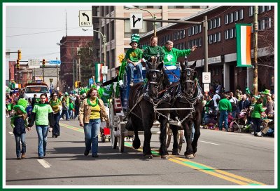 Here Come the Clydesdales at the 2009 Scranton St. Pats Parade