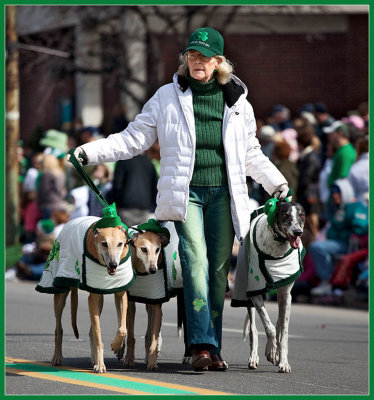 On St. Pats Day, All The Dogs Are Irish.