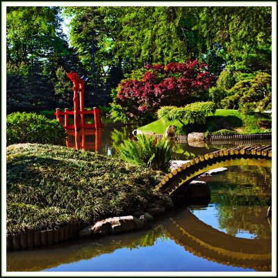 Japanese Rock Garden at the BBG - Select View