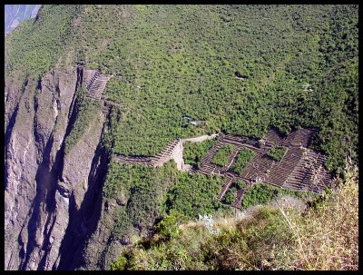 Terraces below Choquequirao 1