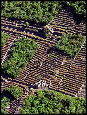 Terraces below Choquequirao 2