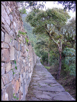 Choquequirao terraces 1