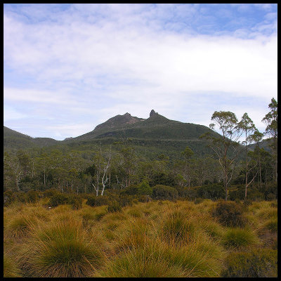 Unnamed peak east of Pine Forest Moor