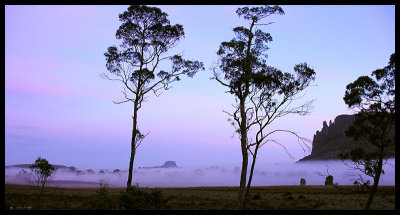 Barn Bluff and Mount Oakleigh through the mist at dawn from the new Pelion Hut