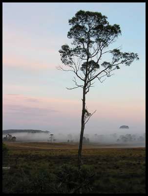 Pelion Plains