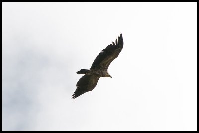 g1/42/52242/3/125607742.YfDWBxva.jpg