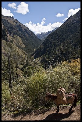 On the trail to Rodophu 1