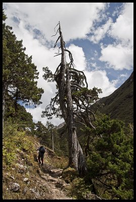 On the trail to Rodophu 3