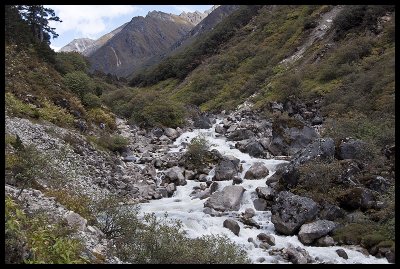 Trail along the Rodophu Chhu