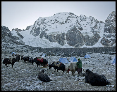 Snowy Narethang camp at 4940m under Gangla Karchung