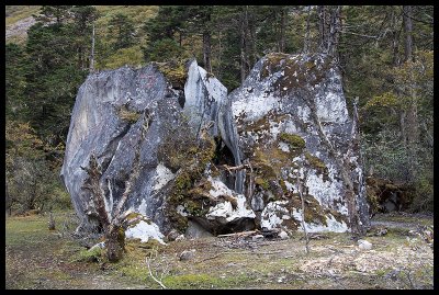 Glacial erratic in the west Pho Chhu valley