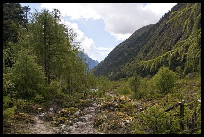 More rocky paths along the valley floor