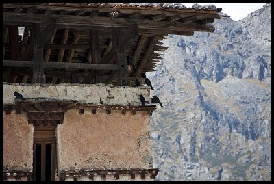 Tshozhong Dzong 2