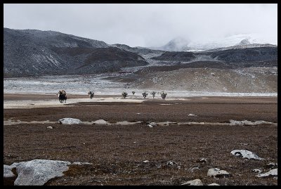 Plateau with hot springs below the Rinchen Zoe La 1