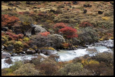 Thampe Chhu valley 2