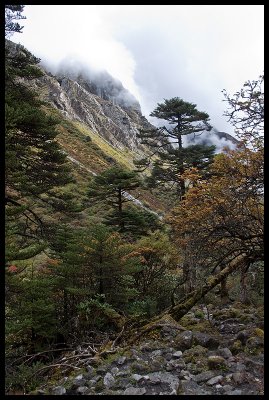 Thampe Chhu valley 5