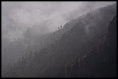 Misty mountains 1
