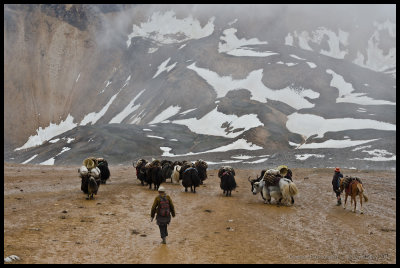 Yak herders at Kagmara La (5115m)