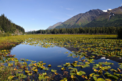 Green Lake