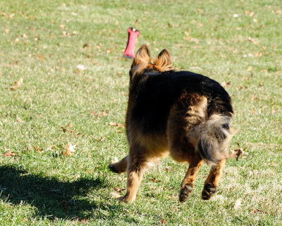 _DSC9318.jpg