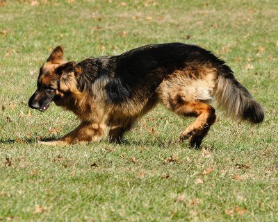 _DSC9365.jpg