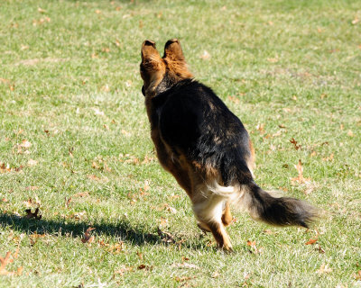 _DSC9384.jpg