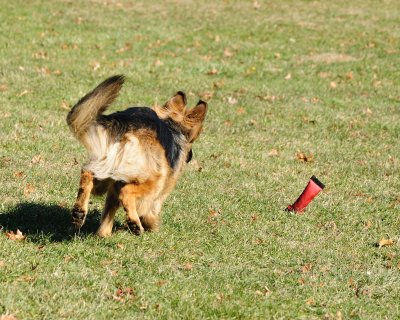 _DSC9411.jpg
